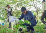 Program Seribu Pohon PT Timah, Sinergi Pelestarian Lingkungan dan Kesejahteraan Warga
