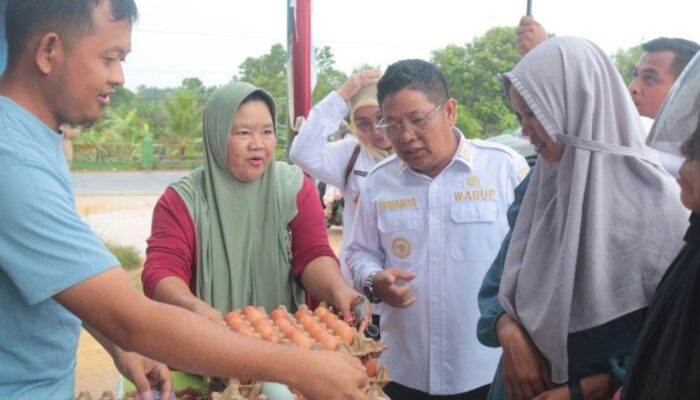 Wabup Efrianda Tinjau Pasar Murah di Desa Keretak Atas