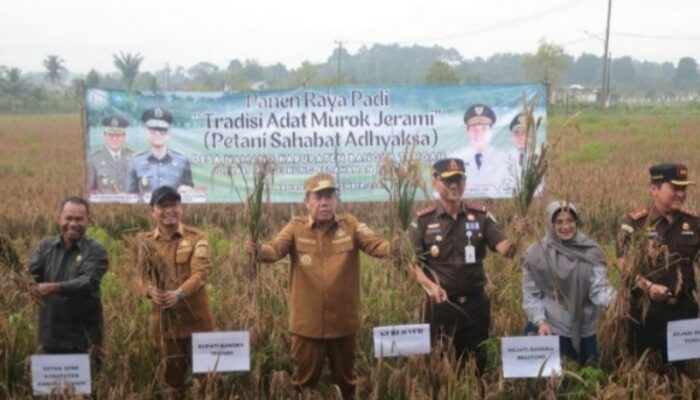 Bupati Bangka Tengah Panen Raya Bersama Gubernur, Desa Namang Jadi Lokus Ketahanan Pangan