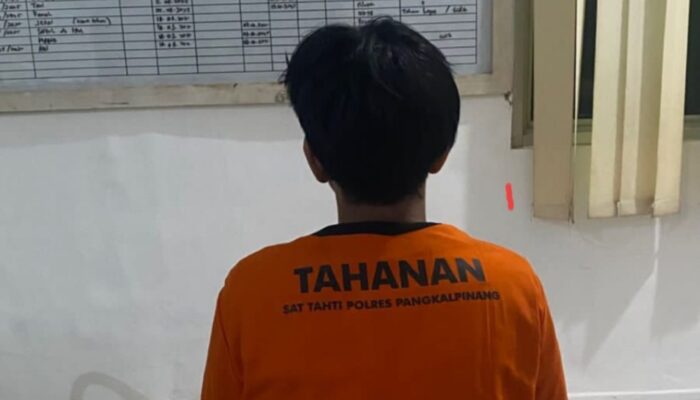 Satresnarkoba Tangkap Mahasiswa Pengedar Ganja di Pangkalpinang