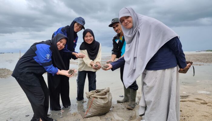 UBB Tebar Setengah Ton Kerang Darah untuk Rehabilitasi Pesisir Bangka Tengah