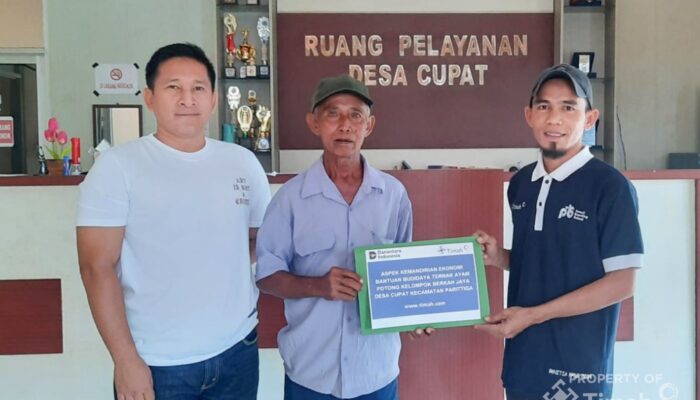 PT Timah Tbk Dukung Peternak Ayam di Bangka Barat, Dorong Kemandirian Ekonomi Desa