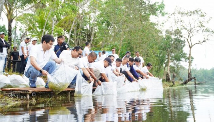 PT Timah Manfaatkan Lahan Pascatambang, Tebar Ribuan Bibit Ikan di Enam Kolong di Bangka