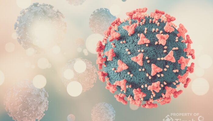 PT Timah Tbk Kembali Salurkan Bantuan untuk Ravael, Anak Penderita Kanker di Bangka Barat