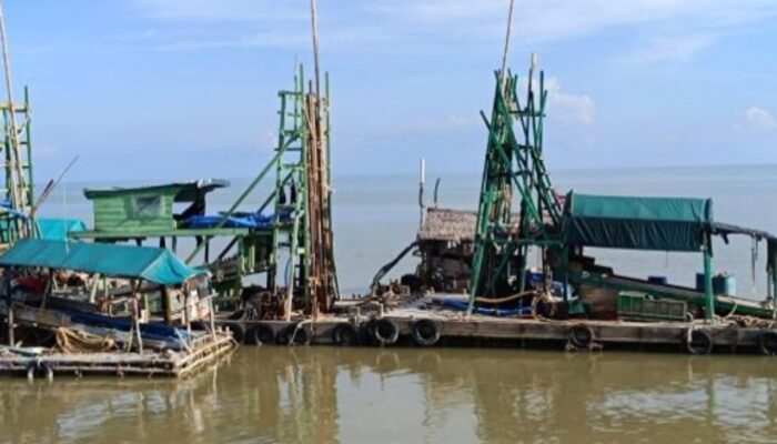 Harga Timah Tembus Rp160 Ribu, Kenaikan NIUJP PT TIMAH Dorong Pendapatan Penambang Rakyat