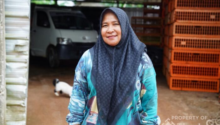 Dapat Pinjaman Modal dari PT Timah, Omzet Ayam Potong Afri Meroket! Armada Bertambah, Pesanan Meningkat