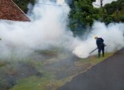 Cegah DBD di Wilayah Operasional Perusahaan, PT TIMAH Tbk Lakukan Fogging Hingga Sosialisasikan 3M