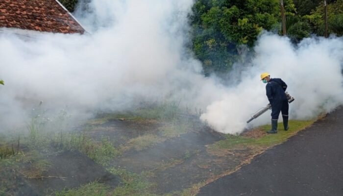 Cegah DBD di Wilayah Operasional Perusahaan, PT TIMAH Tbk Lakukan Fogging Hingga Sosialisasikan 3M