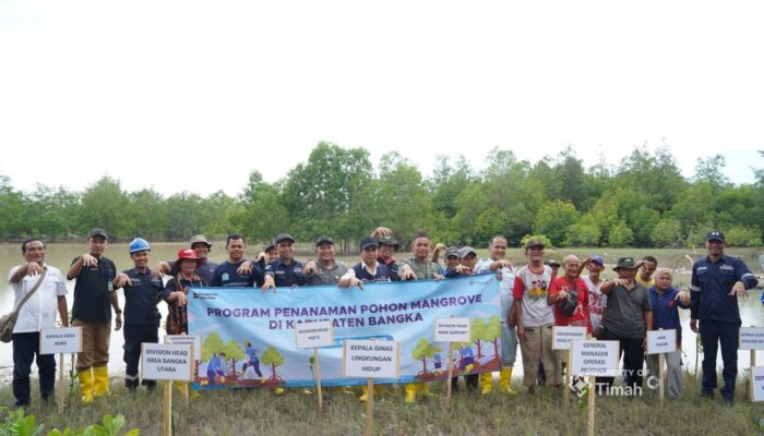 PT Timah Tbk Tanam 5.000 Mangrove di Pantai Takari Bangka