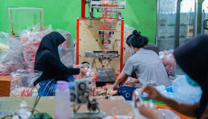Modal dari PT Timah Bikin UMKM Ini Melejit: Produksi Harian Capai Ribuan Kilo, Ekspor ke Luar Negeri