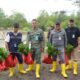 Penanaman Mangrove oleh PT Timah Tbk Dukung Perlindungan Ekosistem Pesisir