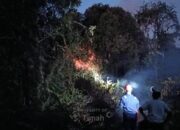 Kebakaran Lahan Dekat Permukiman di Sawang, Damkar PT Timah Bergerak Cepat Padamkan Api