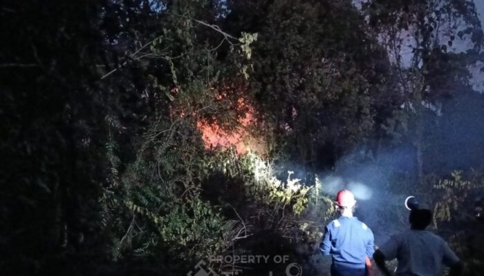 Kebakaran Lahan Dekat Permukiman di Sawang, Damkar PT Timah Bergerak Cepat Padamkan Api