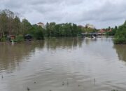 Tambang Timah Diduga Ilegal Rusak Mangrove Air Anyut, SMSI Bangka Desak APH Bertindak