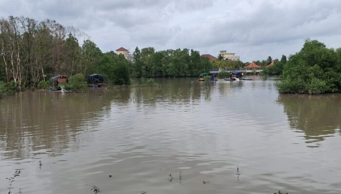 Tambang Timah Diduga Ilegal Rusak Mangrove Air Anyut, SMSI Bangka Desak APH Bertindak