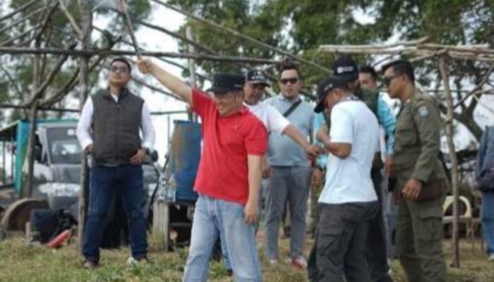 Hadiah Jutaan Rupiah! Lomba Patin Mania Lubuk Besar Dipadati Ratusan Peserta