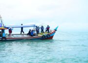 PT Timah Tenggelamkan 1.920 Artificial Reef di 11 Perairan Babel