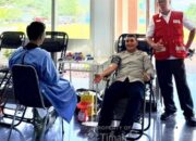 PT Timah Kolaborasi dengan PMI Bangka Barat Gelar Donor Darah