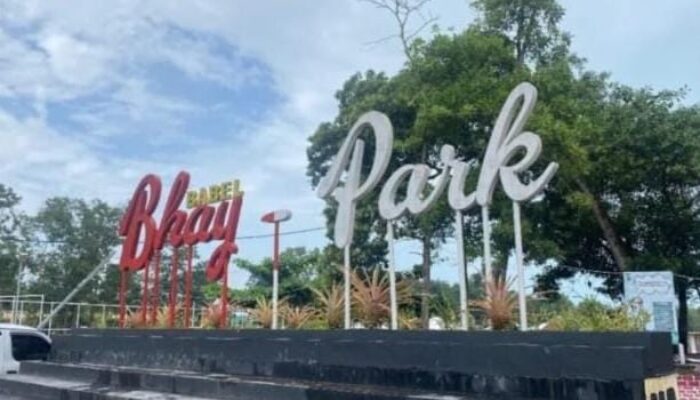 Klarifikasi Pelaksana Proyek Bhay Park: Anggaran Sempat Terblokir, Pekerjaan Dikebut Siang Malam