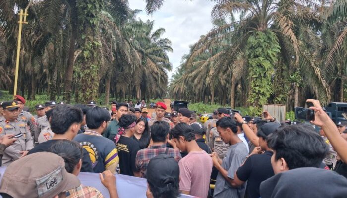 Ratusan Massa Kepung PT GML, Warga dan Mahasiswa Tuntut Plasma 20 Persen