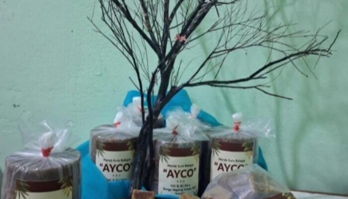 Manisnya Alami, Sehatnya Pasti: Mengenal Gula Kelapa AYCO dari 100% Air Nira Mayang