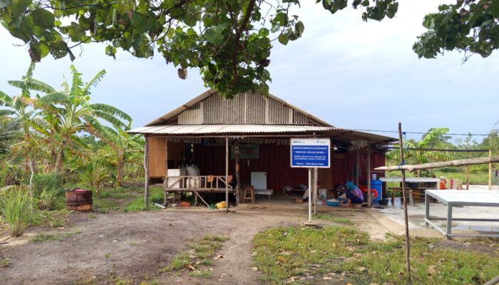 PT Timah Bina KWT di Karimun, Ibu-Ibu Olah Rebon Jadi Terasi Bernilai Ekonomi