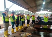 Investor Tinjau Langsung Operasional PT Timah, Analis Nilai Prospek Bisnis Masih Menjanjikan