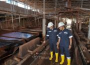 PT Timah Bukukan Laba Rp1,31 Triliun di 2025, Lampaui Target RKAP 119 Persen