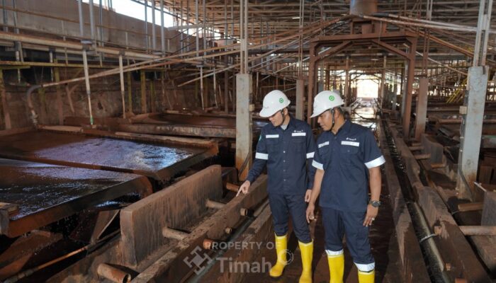 PT Timah Bukukan Laba Rp1,31 Triliun di 2025, Lampaui Target RKAP 119 Persen