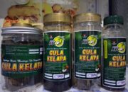 Gula Kelapa AYCO Jadi Primadona Baru di Pangkalpinang, Pemanis Alami Baik untuk Kesehatan