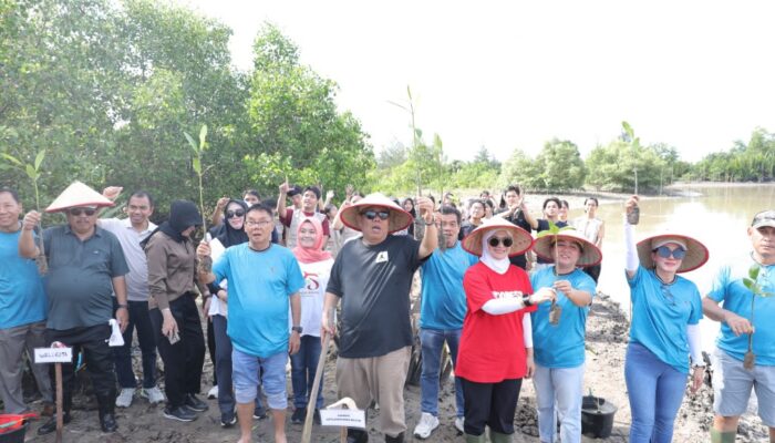 Gubernur Babel Bagikan Sembako dan Tanam Mangrove di Ketapang