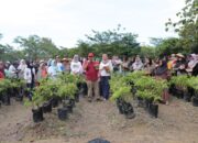 Warga Akui Terbantu Program Nanem Cabe Gubernur Babel, Panen Langsung 50 Kg