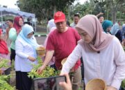 Program GENCAR Babel Mulai Panen, Gubernur Hidayat Arsani Bagikan Cabai ke Masyarakat