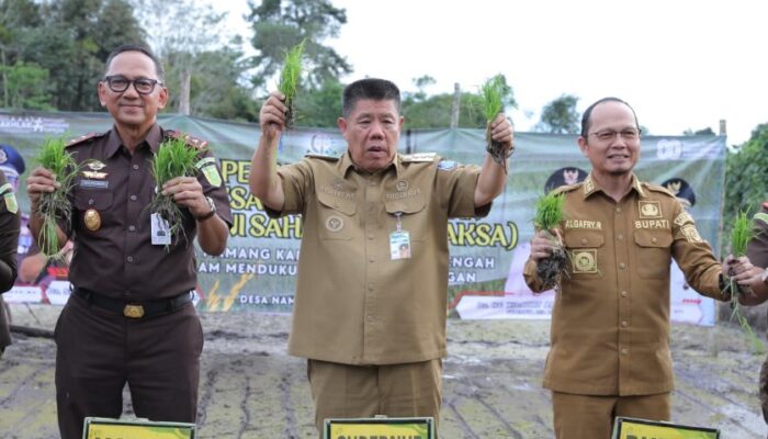 Tanam Padi di Namang, Gubernur Hidayat Perkuat Ketahanan Pangan