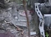 Fasilitas Sumur di Pantai SMSI Pulau Tiga Dirusak, Diduga Dipicu Ketidaksenangan Warga