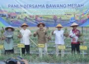 Petani Lubuk Pabrik Panen 1 Ton Bawang Merah, BI dan Pemkab Kompak Dukung Pertanian