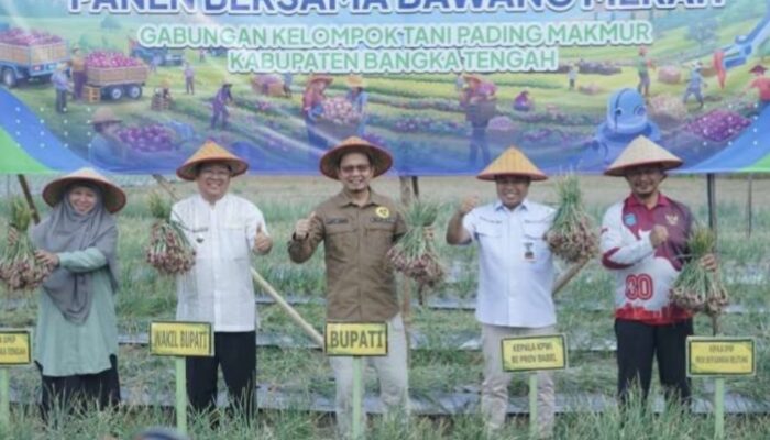 Petani Lubuk Pabrik Panen 1 Ton Bawang Merah, BI dan Pemkab Kompak Dukung Pertanian
