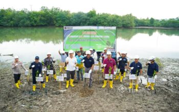 PT Timah Tanam 560 Bibit di Kolong Akhlak Air Kantung, Dorong Revitalisasi Lingkungan Pesisir
