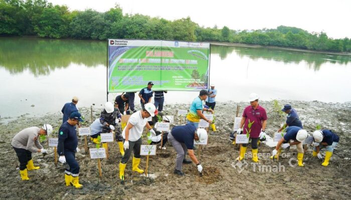 PT Timah Tanam Ratusan Bibit di Kolong Akhlak Air Kantung, Disiapkan Jadi Ruang Publik Produktif