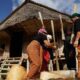 Cerita dari Mapur, PT Timah Rawat Jejak Adat yang Tak Pernah Padam di Gebong Memarong