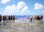 PT TIMAH Tanam 5.000 Mangrove di Pantai Mudong Belitung Timur