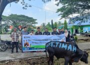 PT Timah Distribusikan Hewan Kurban hingga Pelosok Kepulauan Meranti