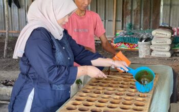 Dinda Rembulan Ikut Cetak Gula Kelapa di Bedukang, Siap Kawal Jadi Produk Andalan Babel