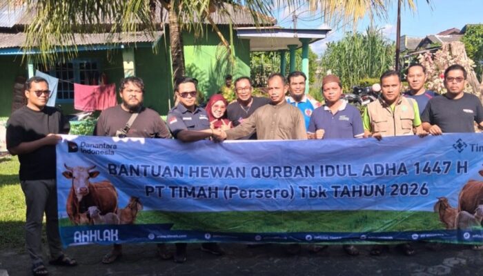 SMSI Babel Kembali Potong Hewan Kurban, PT Timah Tiga Tahun Berturut-turut Beri Bantuan