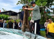Panen Perdana Udang Vaname di Guntung, Bangka Tengah Raup 350 Kg, Disuplai untuk MBG