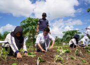 Pelajar Diajak Kenali Reklamasi Pascatambang, PT TIMAH Luncurkan Buku Selaras Harmoni Reklamasi