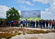 PT Timah Tanam Ratusan Pohon di Sempadan Sungai Romodong, Dukung Pemulihan Lingkungan Belinyu