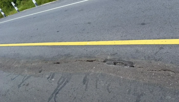 Rina Tarol Soroti Jalan Nasional Rp50 Miliar di Basel, Ditemukan Retakan Sepanjang 500 Meter