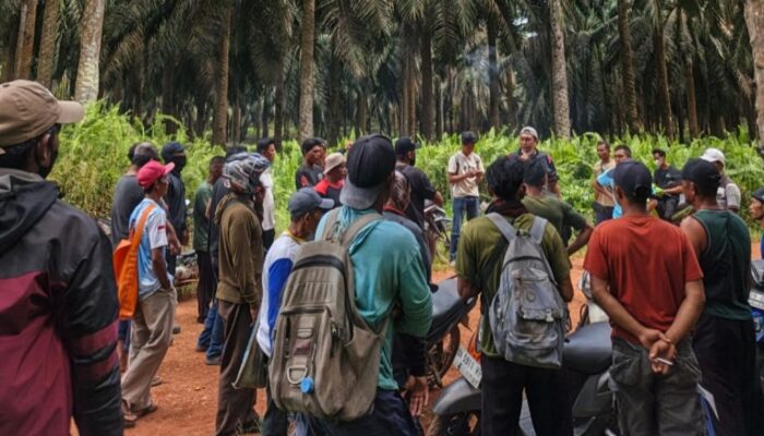 Massa Aksi di GML: Pelaku Pembakaran Harus Diproses, Warga Minta Kesempatan Bekerja