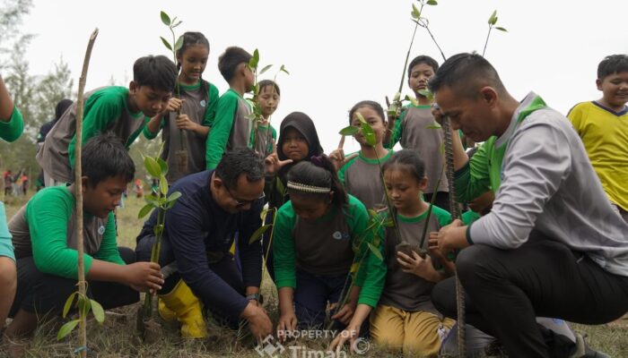 PT Timah Reklamasi 78,21 Hektare Lahan Bekas Tambang di Babel Sepanjang Semester I 2026